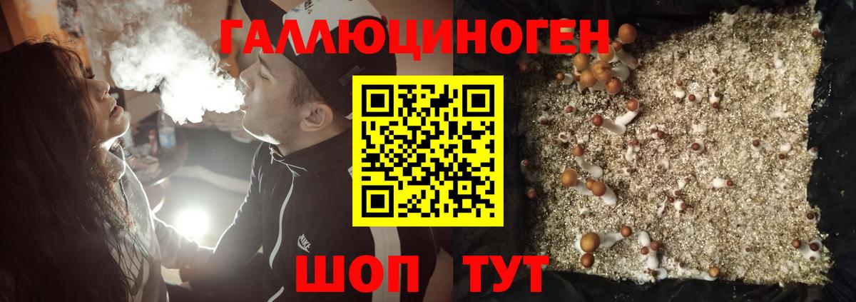 цены наркотик  Вход с VPN  Сибай  Псилоцибиновые грибы Cubensis  Галлюциногенные грибы MAGIC MUSHROOMS 